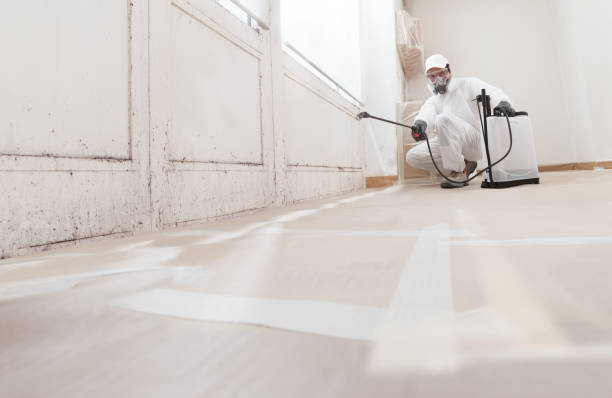 24/7 Emergency Commercial Mold Remediation experts in White Plains, NC